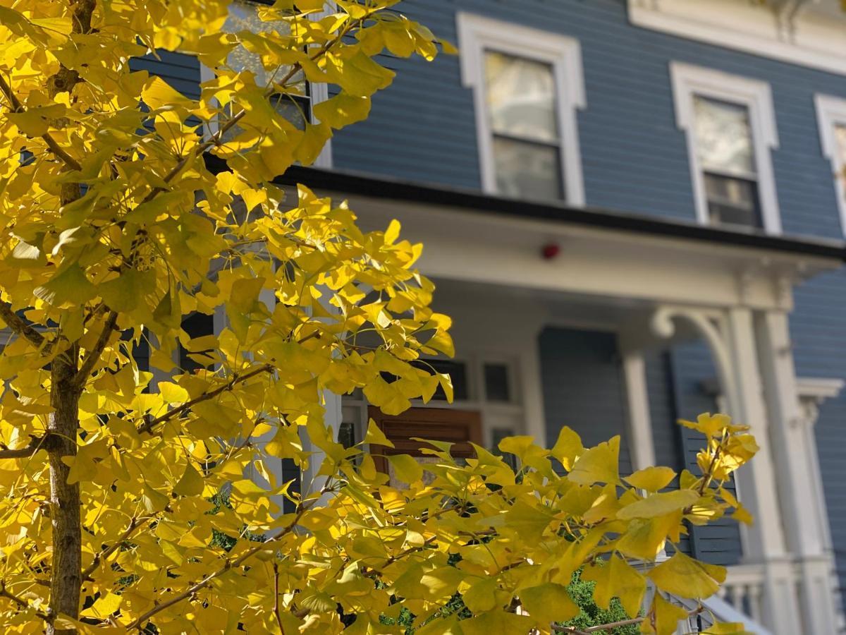 Ginkgo House On Harvard 剑桥 外观 照片