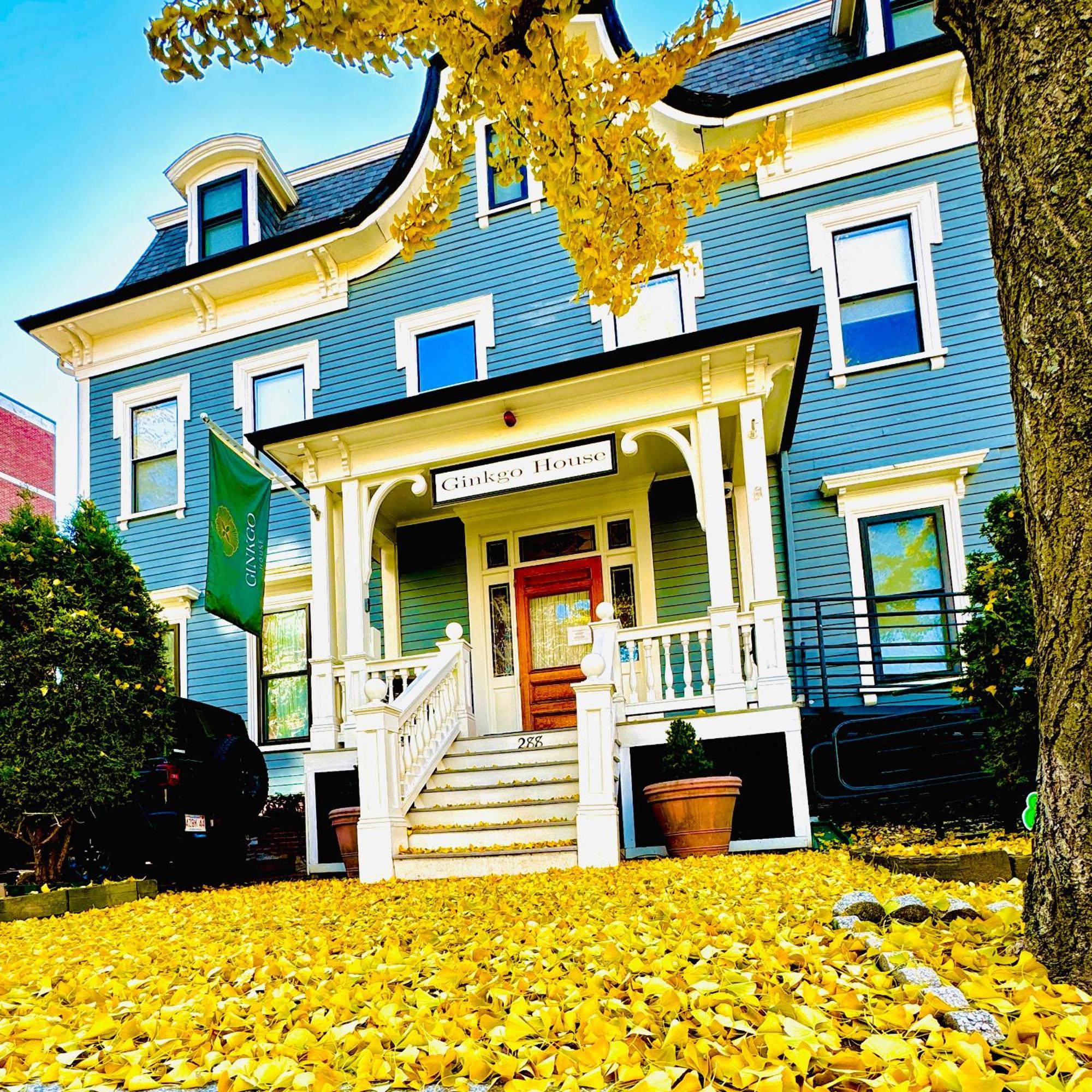 Ginkgo House On Harvard 剑桥 外观 照片